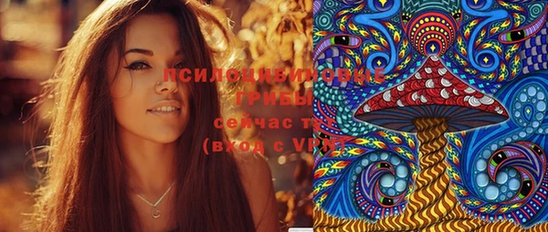 первитин Гусев