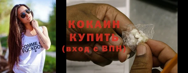 первитин Гусев
