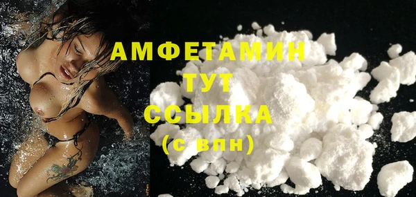 первитин Гусев