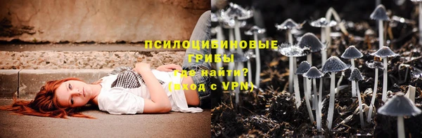 соль ск Гусь-Хрустальный